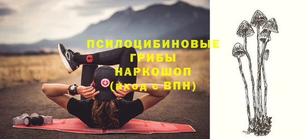 шишки Алексин