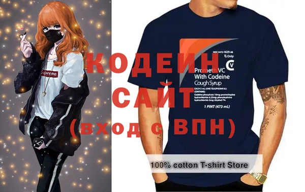 шишки Алексин